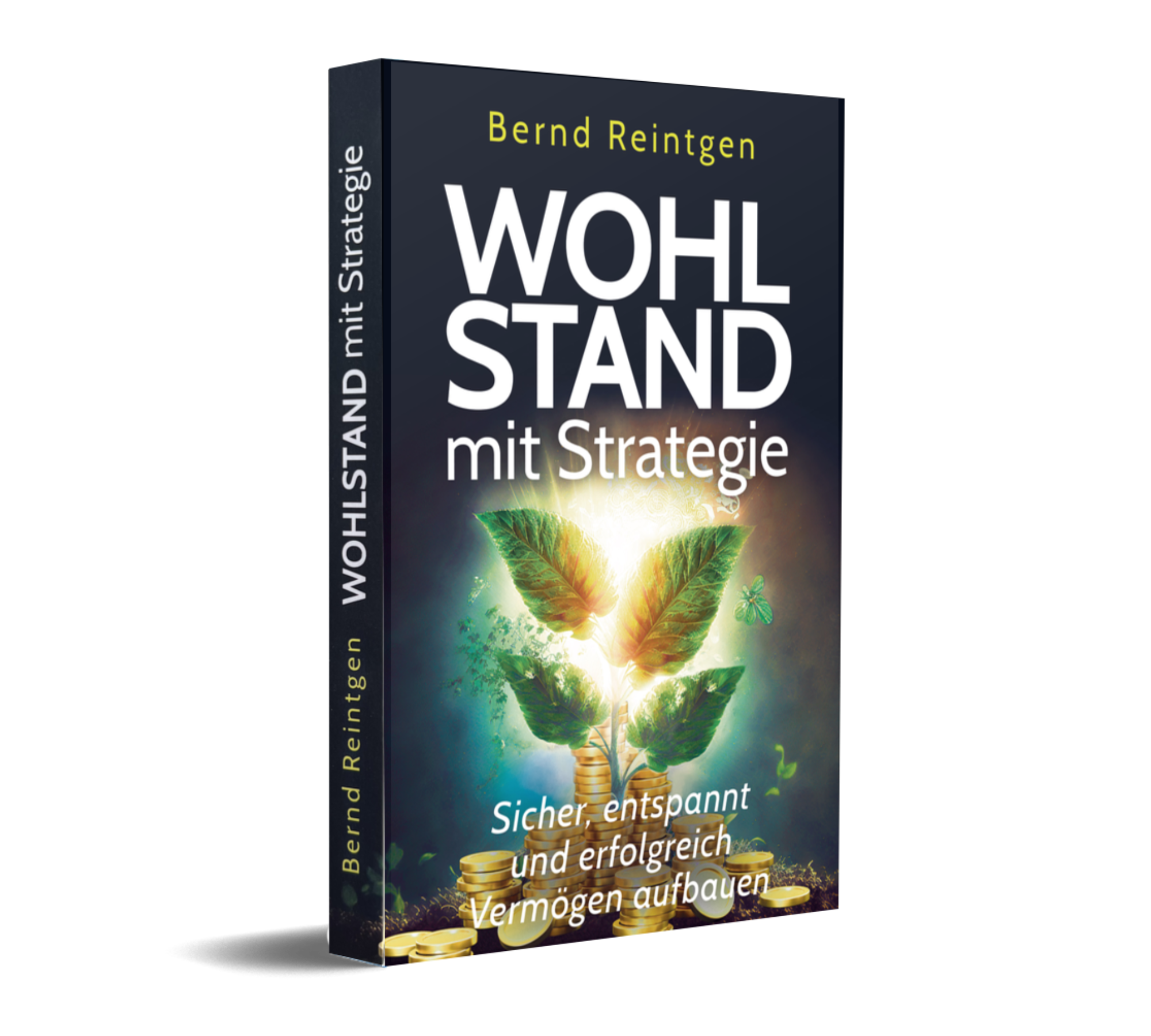 Buch "Wohlstand mit Strategie"
